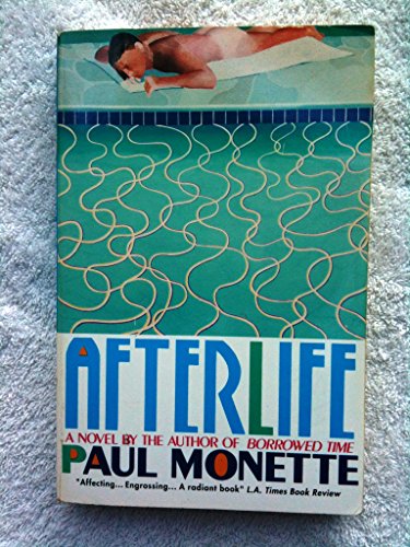 Beispielbild fr Afterlife zum Verkauf von Wonder Book