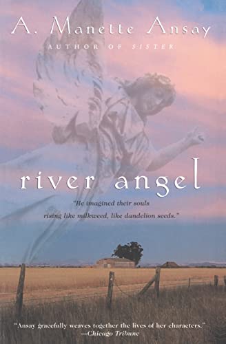 Stock image for River Angel: A Novel for sale by SecondSale