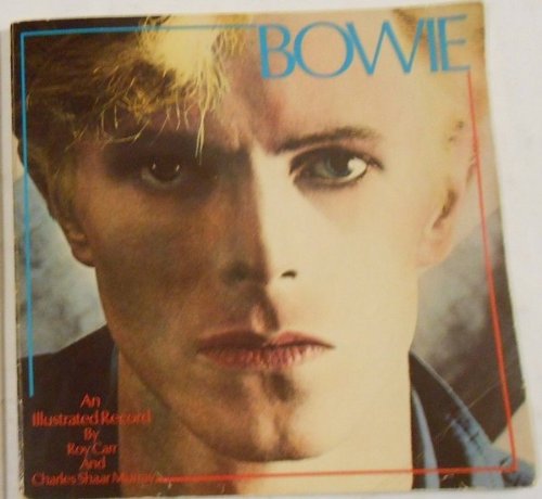 Beispielbild fr David Bowie: An illustrated record zum Verkauf von HPB-Emerald