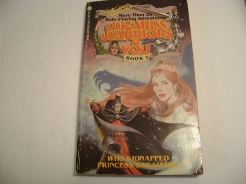 Who Kidnapped Princess Saralinda? (Wizards, Warriors & You Series Book 3) (9780380892686) by Stine, Megan; Stine, H. William