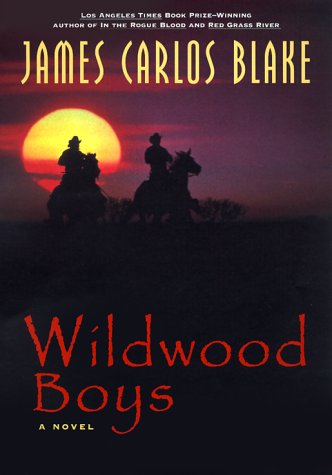 Stock image for Wildwood Boys: A Novel for sale by Books-FYI, Inc.