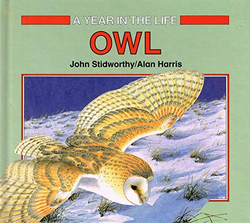 Imagen de archivo de A Year in the Life of an Owl a la venta por Better World Books