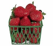 Imagen de archivo de Strawberry a la venta por SecondSale