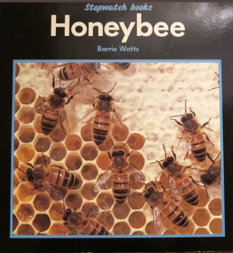 Imagen de archivo de Honeybee (Stopwatch) a la venta por SecondSale