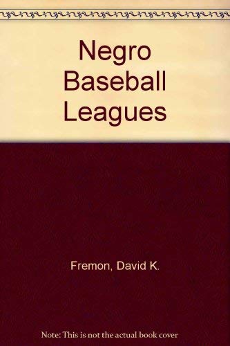 9780382247309: Negro Baseball Leagues