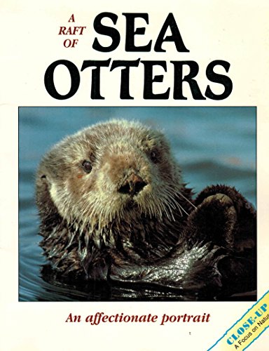 Beispielbild fr A Raft of Sea Otters (Close Up) zum Verkauf von More Than Words