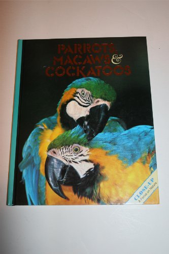 Parrots, MacAws & Cockatoos (Close Up) (9780382248986) by Leon, Vicki