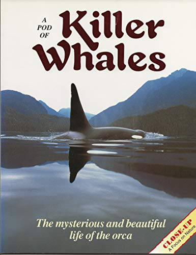 Imagen de archivo de A Pod of Killer Whales: The Mysterious and Beautiful Life of the Orca (Close Up) a la venta por Wonder Book