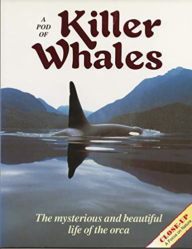 9780382249013: A Pod of Killer Whales: The Mysterious and Beautiful Life of the Orca