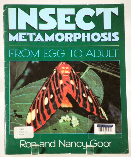 Stock image for Insect metamorphosis: From egg to adult for sale by Idaho Youth Ranch Books