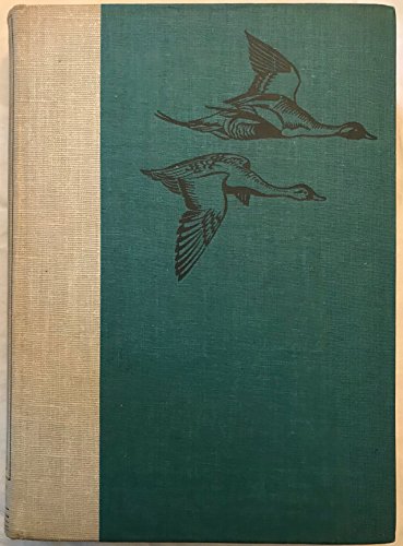 Stock image for Birds of America for sale by Better World Books