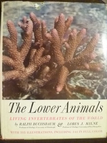 Stock image for The Lower Animals: Living Invertebrates of the World, for sale by Better World Books