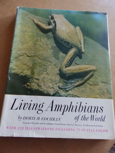 Imagen de archivo de Living Amphibians of the World. a la venta por WorldofBooks