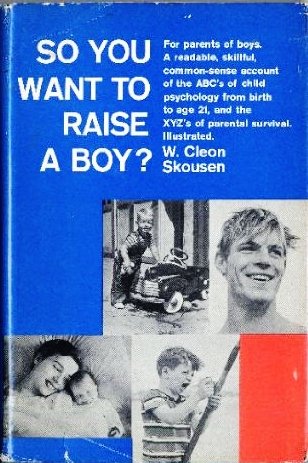 Stock image for So You Want to Raise a Boy for sale by ThriftBooks-Reno