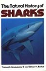 The Natural History of Sharks - Thomas H. Lineaweaver, Richard Backus