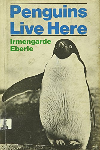 Imagen de archivo de Penguins live here a la venta por Book Lover's Warehouse