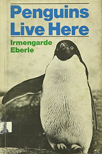 Stock image for Penguins live here for sale by Book Lover's Warehouse