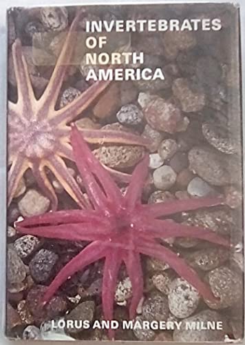 Beispielbild fr Invertebrates of North America zum Verkauf von Better World Books