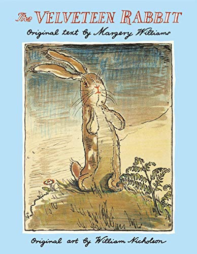 Stock image for The Velveteen Rabbit for sale by Orion Tech