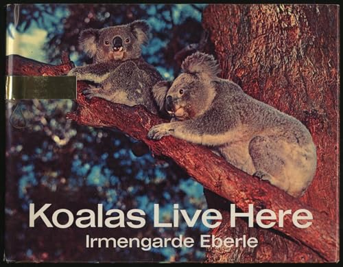 Beispielbild fr Koalas Live Here zum Verkauf von The Unskoolbookshop