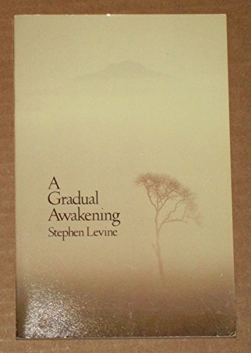 Beispielbild fr A Gradual Awakening zum Verkauf von Wonder Book
