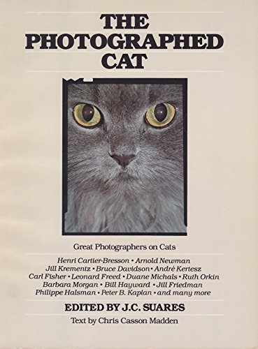 Beispielbild fr The Photographed Cat: Great Photographers on Cats zum Verkauf von Wonder Book