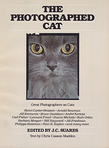 Stock image for The Photographed Cat: Great Photographers on Cats for sale by Wonder Book