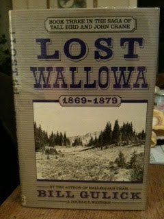 Beispielbild fr Lost Wallowa, 1869-1879 Bk. 3 : The Saga of Tall Bird and John Crane zum Verkauf von Better World Books