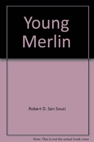 9780385248013: Young Merlin