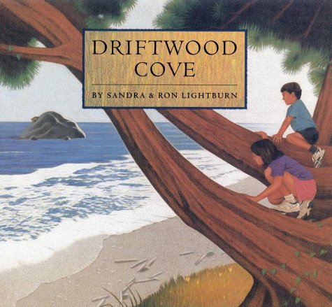 Beispielbild fr Driftwood Cove zum Verkauf von HPB-Emerald