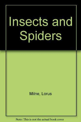 Stock image for Insects and Spiders for sale by Wonder Book