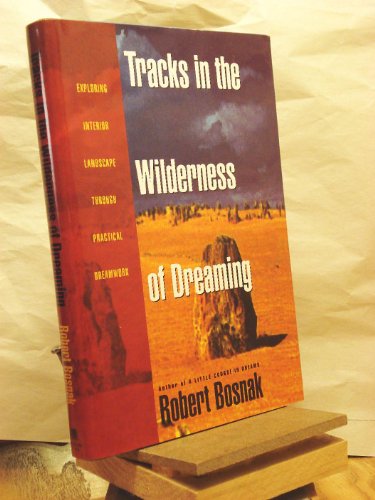 Imagen de archivo de Tracks in the Wilderness of Dreaming a la venta por More Than Words