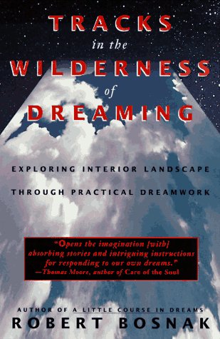 Stock image for Tracks in the Wilderness of Dreaming for sale by Once Upon A Time Books