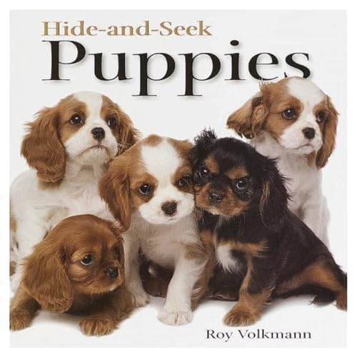 Hide-and-Seek Puppies (Hide-And-Seek Book)
