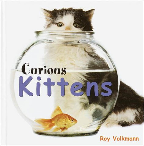 Beispielbild fr Curious Kittens zum Verkauf von Better World Books: West