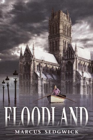Stock image for Floodland for sale by Better World Books