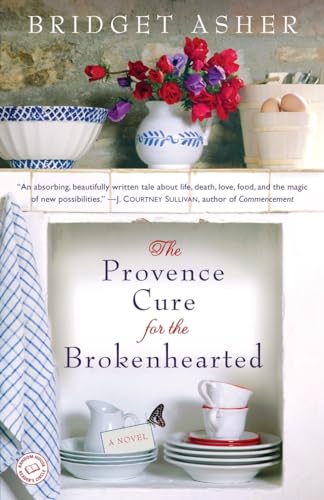 Beispielbild fr The Provence Cure for the Brokenhearted : A Novel zum Verkauf von Better World Books