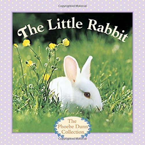 Imagen de archivo de The Little Rabbit (Phoebe Dunn Collection) a la venta por Orion Tech