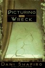 Beispielbild fr Picturing the Wreck zum Verkauf von Jenson Books Inc