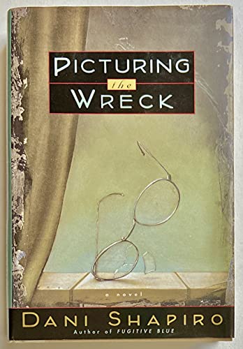 Imagen de archivo de Picturing the Wreck a la venta por Dan Pope Books