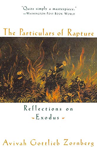 Stock image for The Particulars of Rapture: Reflections on Exodus for sale by More Than Words
