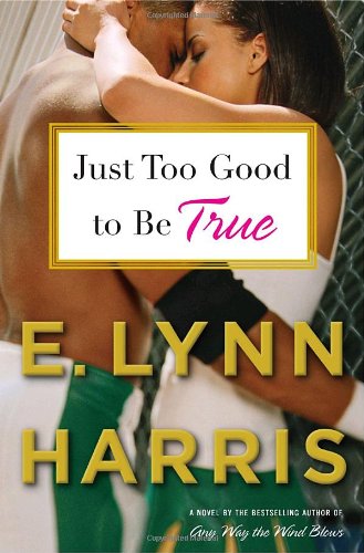 Beispielbild fr Just Too Good to Be True: A Novel zum Verkauf von SecondSale