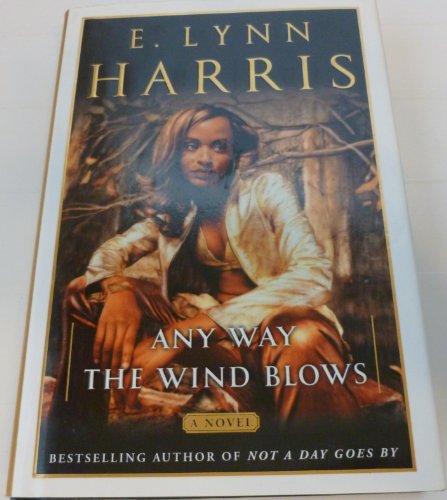 Imagen de archivo de Any Way the Wind Blows A Novel a la venta por SecondSale