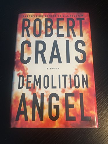 9780385495844: Demolition Angel