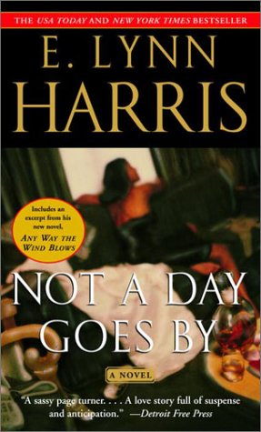 9780385498258: Not a Day Goes By: A Novel