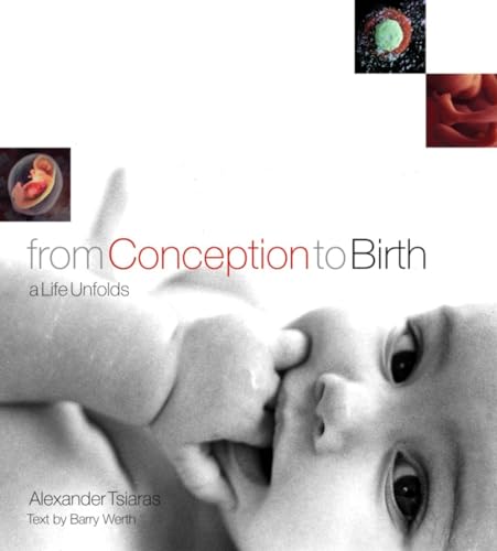 Beispielbild fr From Conception to Birth; a Life Unfolds zum Verkauf von Jeff Stark