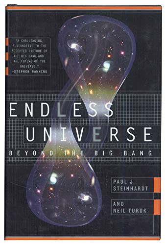 Imagen de archivo de Endless Universe: Beyond the Big Bang a la venta por Jenson Books Inc