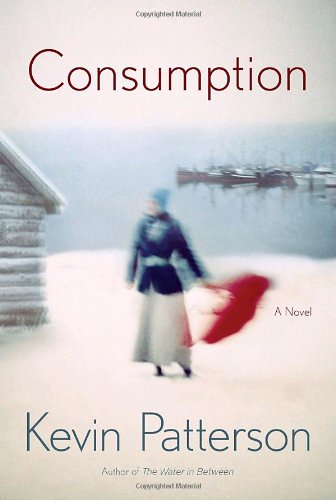 Beispielbild fr Consumption: A Novel zum Verkauf von WorldofBooks