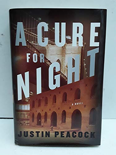 9780385525800: A Cure for Night: A Novel