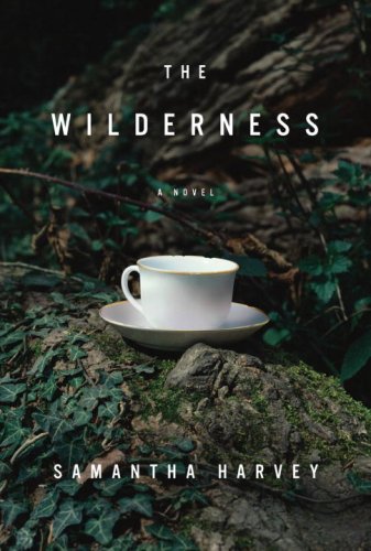 9780385527637: The Wilderness: A Novel
